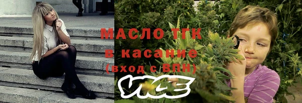 твердый Алзамай