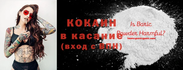 твердый Алзамай