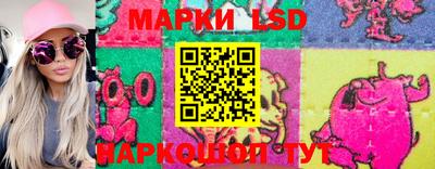 стафф Камышлов