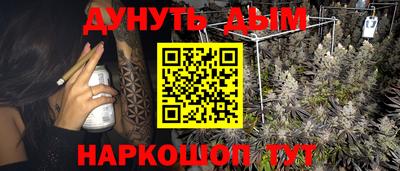стафф Камышлов
