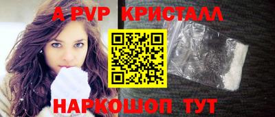 стафф Камышлов