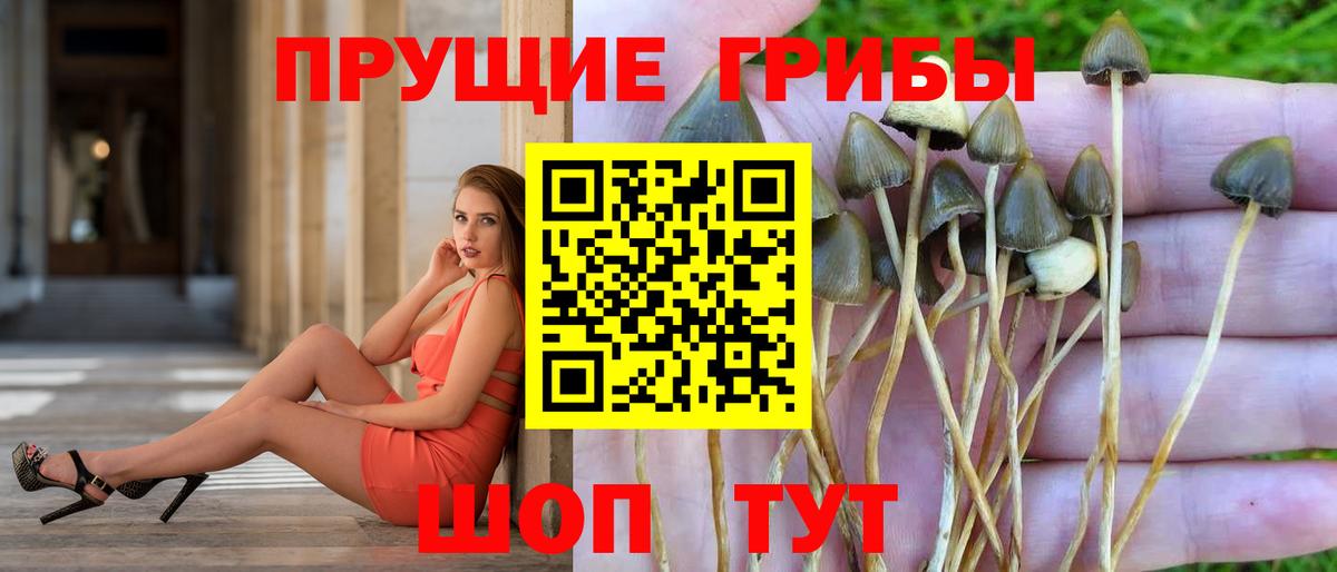 Киржач  Псилоцибиновые грибы Magic Shrooms  Галлюциногенные грибы прущие грибы  Вход с VPN 