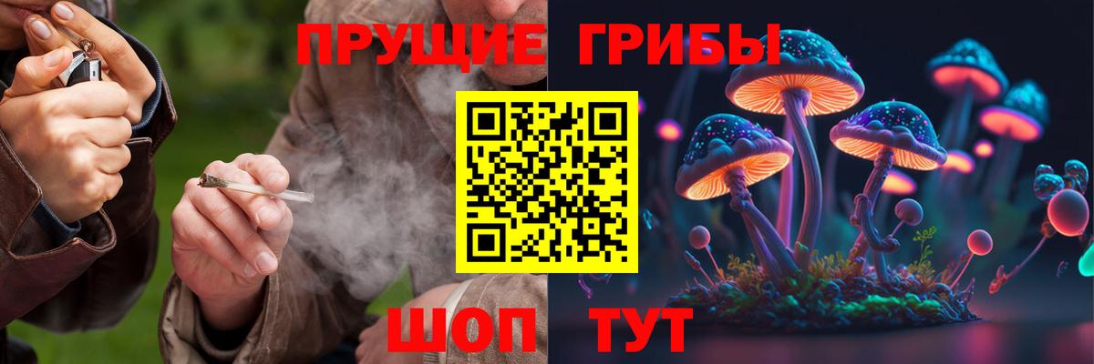 Псилоцибиновые грибы Psilocybine cubensis Киржач